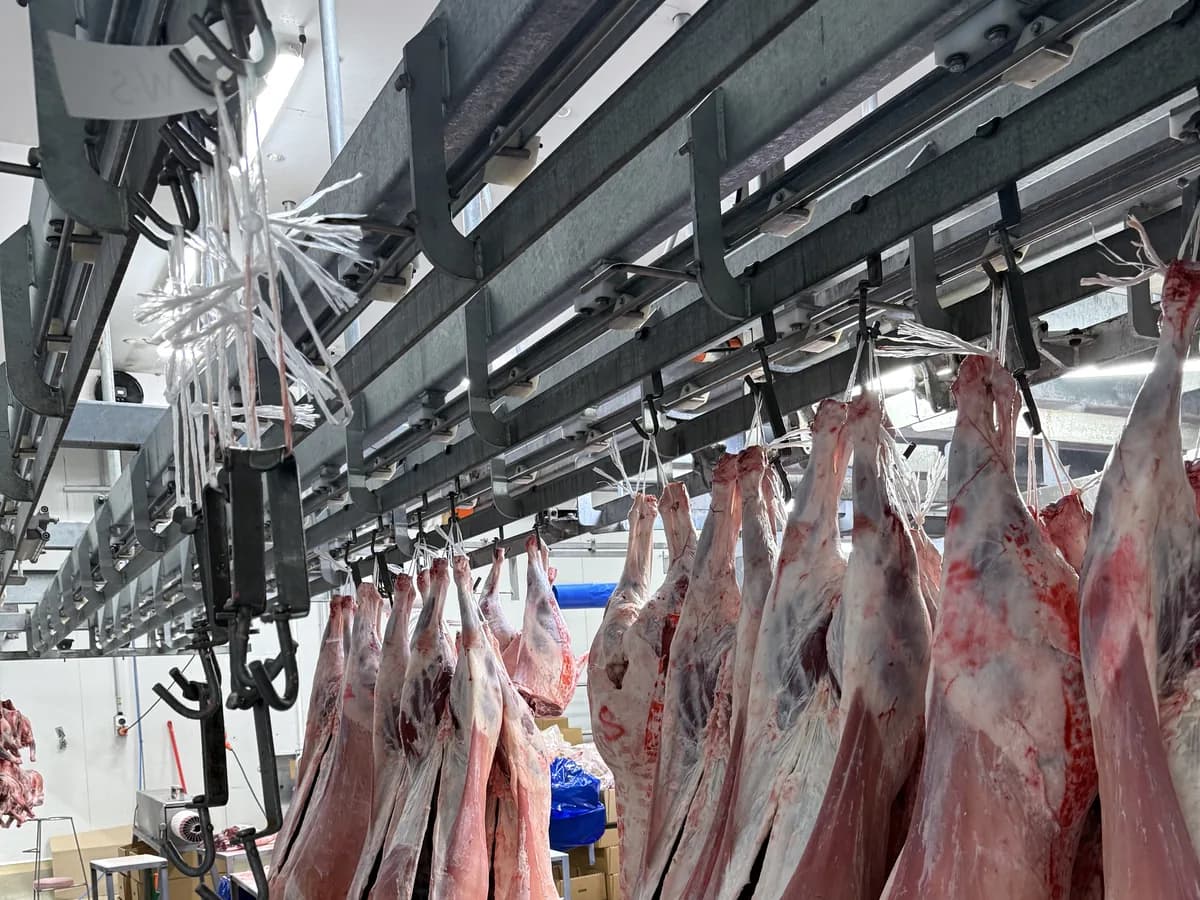 Chiller rail on a meat processing floor