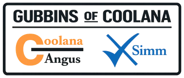 Gubbins of Coolana